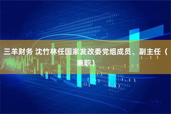 三羊财务 沈竹林任国家发改委党组成员、副主任（兼职）