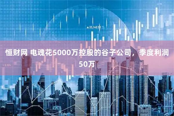 恒财网 电魂花5000万控股的谷子公司，季度利润50万